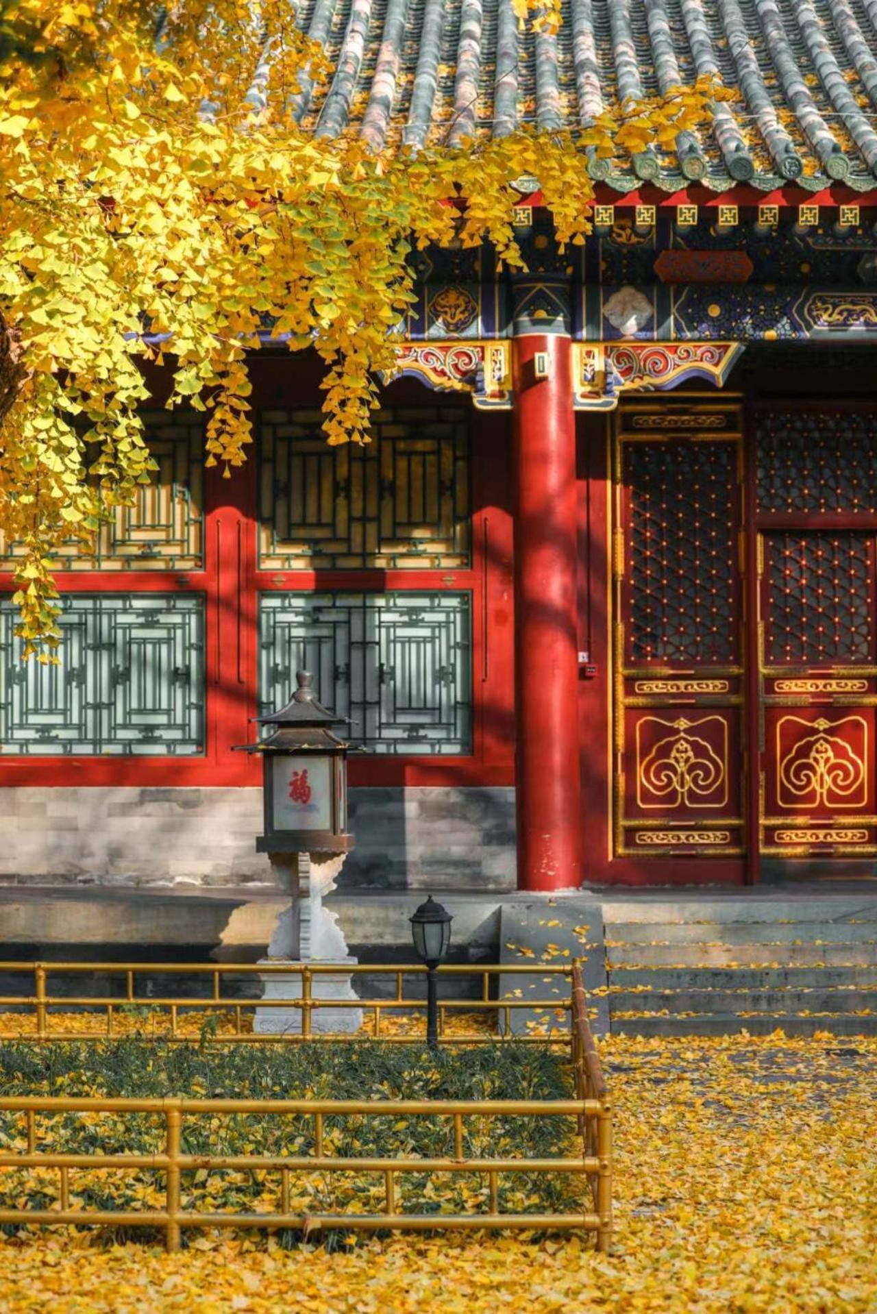 Nostalgia Hotel Near Prince Gong'S Mansion- Beihai Park, Tian'Anmen Square, Nanluoguxiang Hutong, Huguosi Hutong Snack Street, 5 Minutes Walk Away From Ping'Anli Subway Station, Free Ice Cream And Laundry Service,English Communication Well Peking Exteriör bild